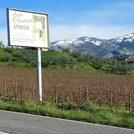 La Loggetta Di Apricus Villa Olevano Romano Eksteriør bilde