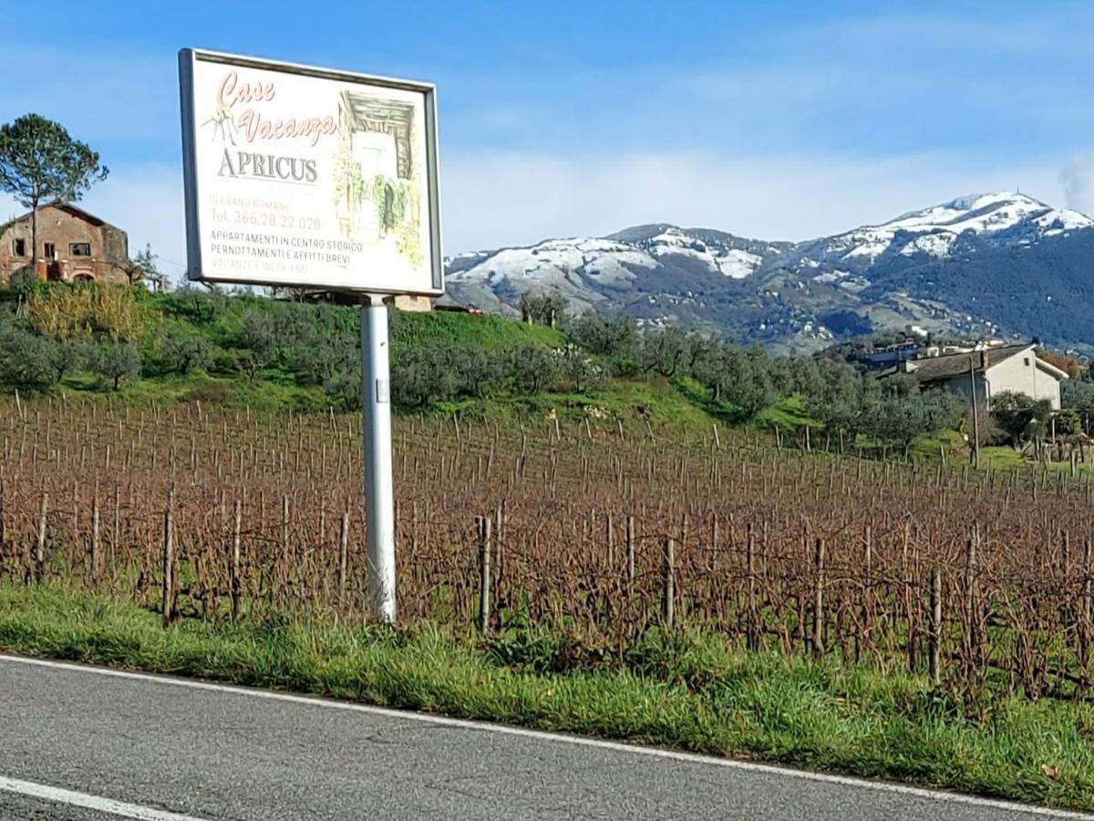 La Loggetta Di Apricus Villa Olevano Romano Eksteriør bilde